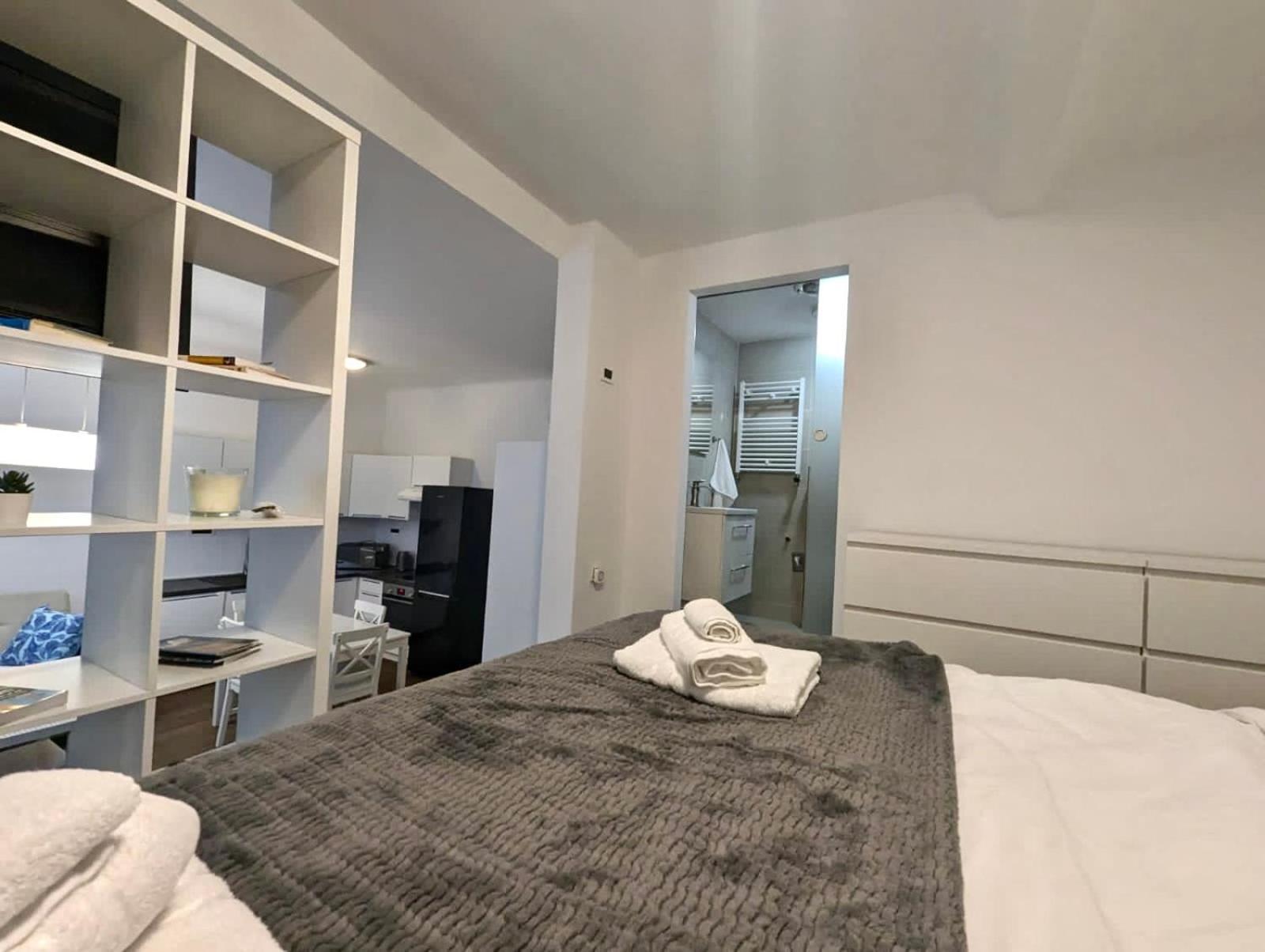 Fantabulous Downtown Abode W King Bed, 65" Tv, Washer And Tumble Dryer Zagreb Ngoại thất bức ảnh